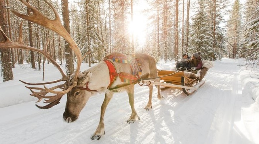 All-Day Adventure Trip to Lapland in Search of Santa, + Flights