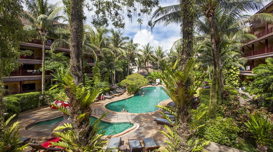 Luxury Rainforest Resort Vibe at Kata Palm